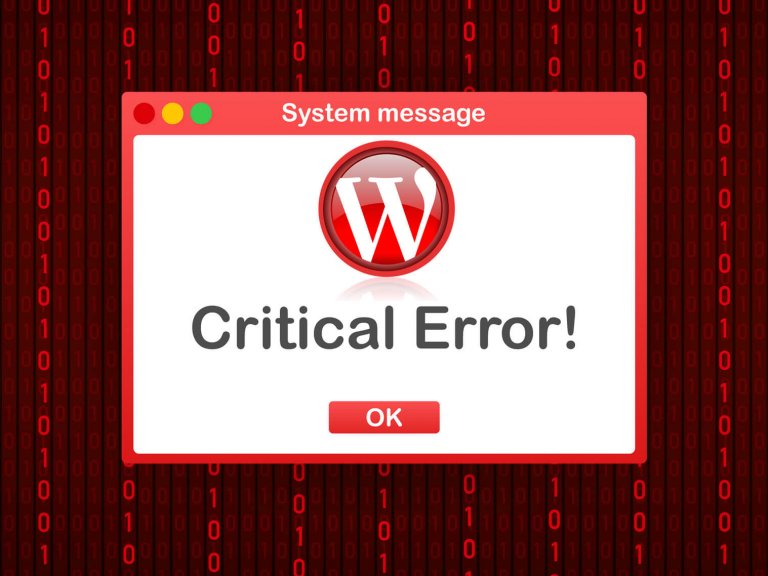 אירעה שגיאה קריטית באתר שלך